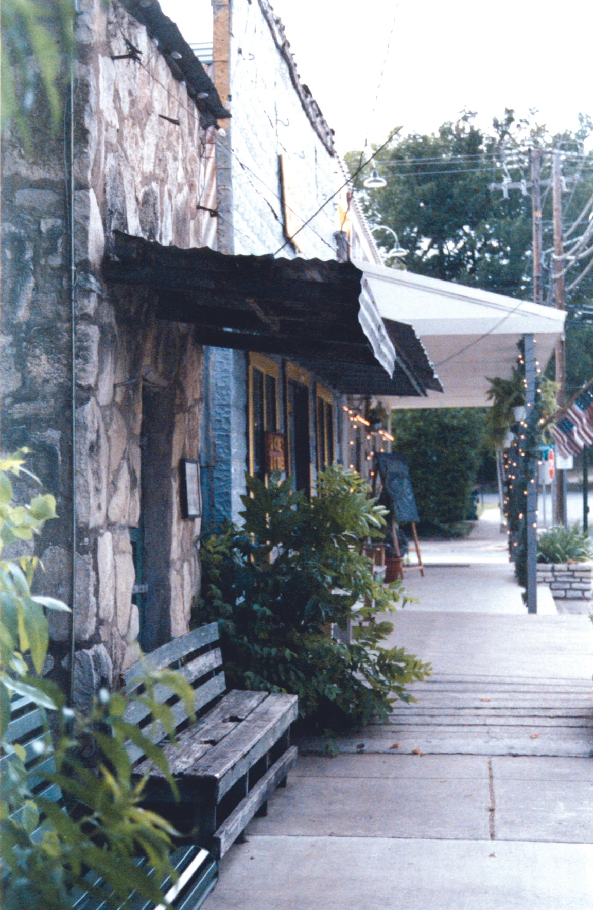Texas Shopping by Linda Marie Fischer