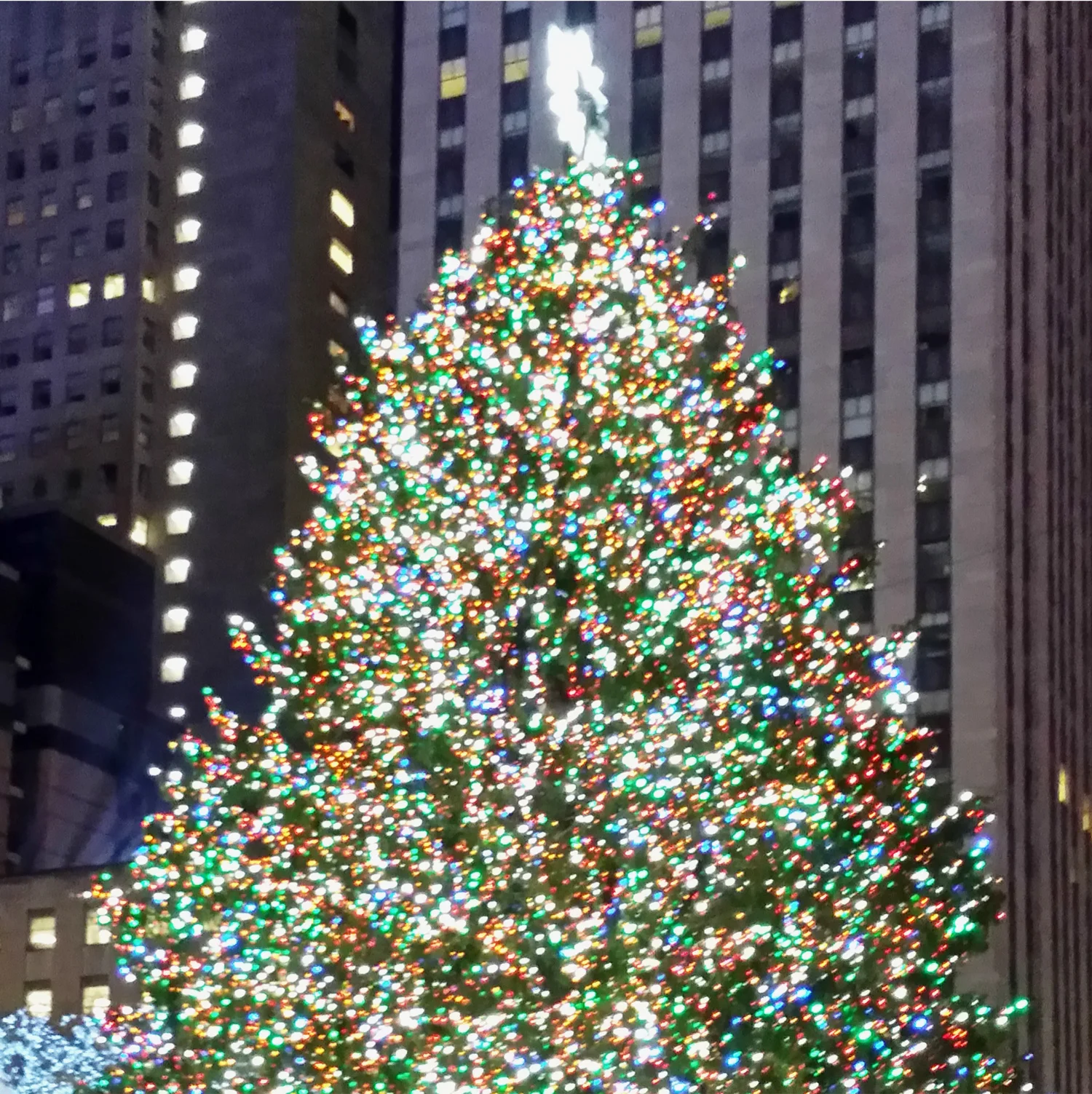 Holiday Wishes