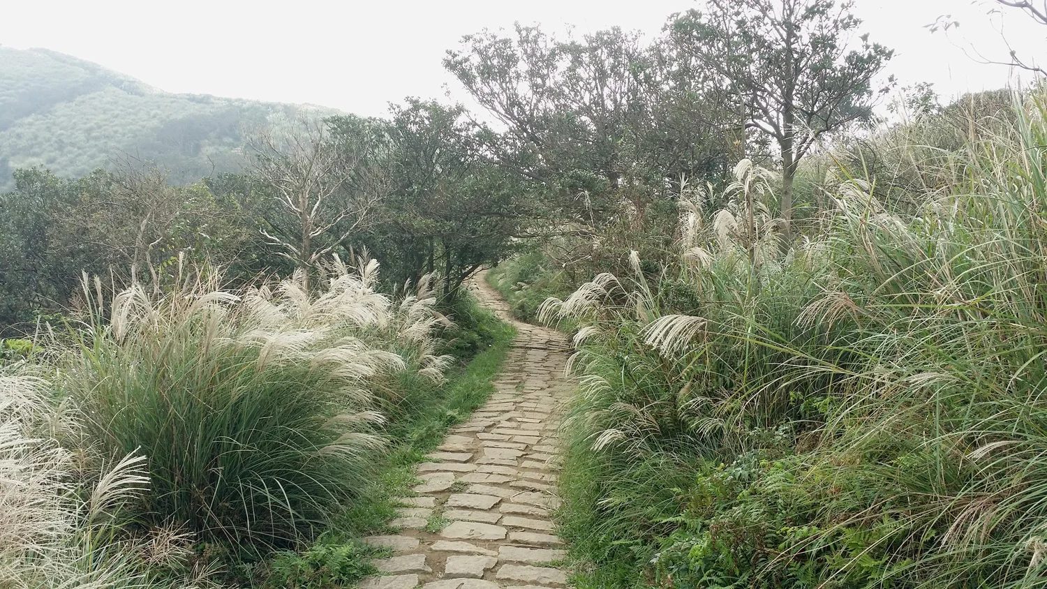 Trails in My Life